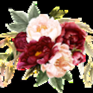 Meet your Posher, Rose